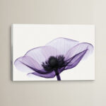 " Anemone II " by Robert Coop