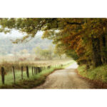 " Autumn On A Country Road " by Danny Head