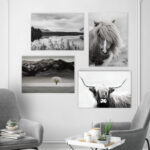 " Back County I " 4 - Pieces