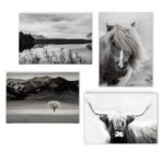 " Back County I " 4 - Pieces - Image 3
