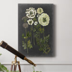 " Bookplate Floral II " Painting Print - Image 6