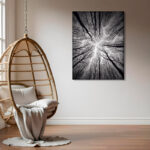 " Ceiling " - Image 4