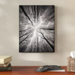 " Ceiling " - Image 5