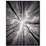 " Ceiling "