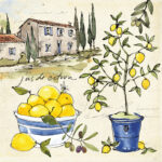 " Citron III " by Anne Tavoletti Painting Print - Image 2