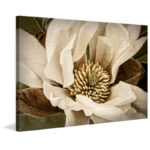 " Classic Magnolia II " - Image 4