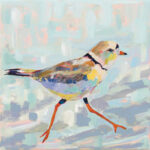 " Coastal Plover I Neutral " by Jeanette Vertentes