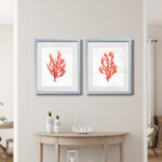 " Coral Kelp I " 2 - Pieces - Image 5