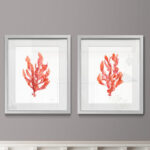 " Coral Kelp I " 2 - Pieces - Image 6