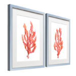 " Coral Kelp I " 2 - Pieces - Image 8