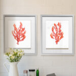 " Coral Kelp I " 2 - Pieces