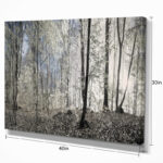 " Dark Morning In Forest Panorama " - Image 5