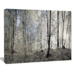 " Dark Morning In Forest Panorama " - Image 6