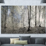 " Dark Morning In Forest Panorama "