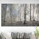 " Dark Morning In Forest Panorama " - Image 2