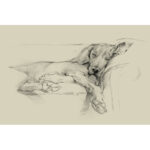 " Dog Days I " by Ethan Harper