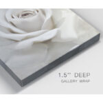 " Dreamy I " 2 - Pieces - Image 3