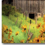 " Farm & Sunflower " - Image 2