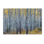 " Forest Of Aspen Trees " by Pierre Leclerc - Image 7