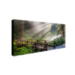 " Forest Sunlight " by Pierre Leclerc - Image 2