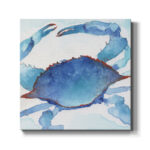 " Galapagos Crab " - Image 6