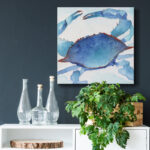" Galapagos Crab "