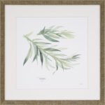 " Herbs " 4 - Pieces - Image 8