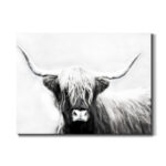 " Highland Longhorn " Painting Print - Image 5