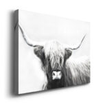 " Highland Longhorn " Painting Print - Image 6