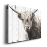 " Highland Prize " - Image 5