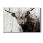 " Highland Prize " - Image 6