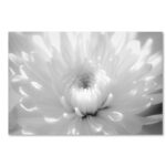 " Infrared Flower 2 " - Image 6