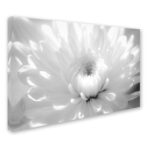 " Infrared Flower 2 " - Image 7
