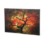 " Japanese " by Philippe Sainte-Laudy - Image 2