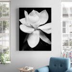 " Magnolia " by Michael Harrison