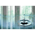 " Meadow " by Parvez Taj - Image 7