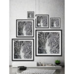 " Path Among Giants " by Karolis Janulis - Image 3