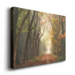 " Path Of Dreams " - Image 5