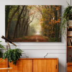 " Path Of Dreams "
