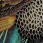 " Peacock Poise I " - Image 3