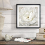 " Perfect Peony "