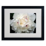 " Perfect Peony " by Kurt Shaffer - Image 5