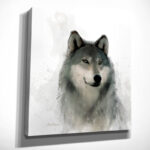 " Rainsoft " - Image 4