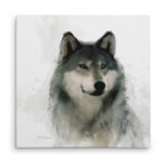 " Rainsoft " - Image 5