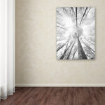 " Recall The Days " by Philippe Sainte-Laudy - Image 6