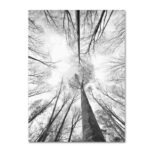 " Recall The Days " by Philippe Sainte-Laudy