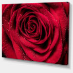 " Red Rose Petals With Rain Droplets " - Image 6