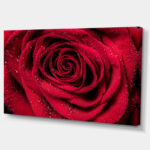 " Red Rose Petals With Rain Droplets " - Image 2