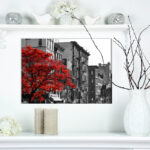 " Red Tree On Black And White New York City Street "