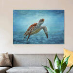 " Sea Turtle " - Image 2